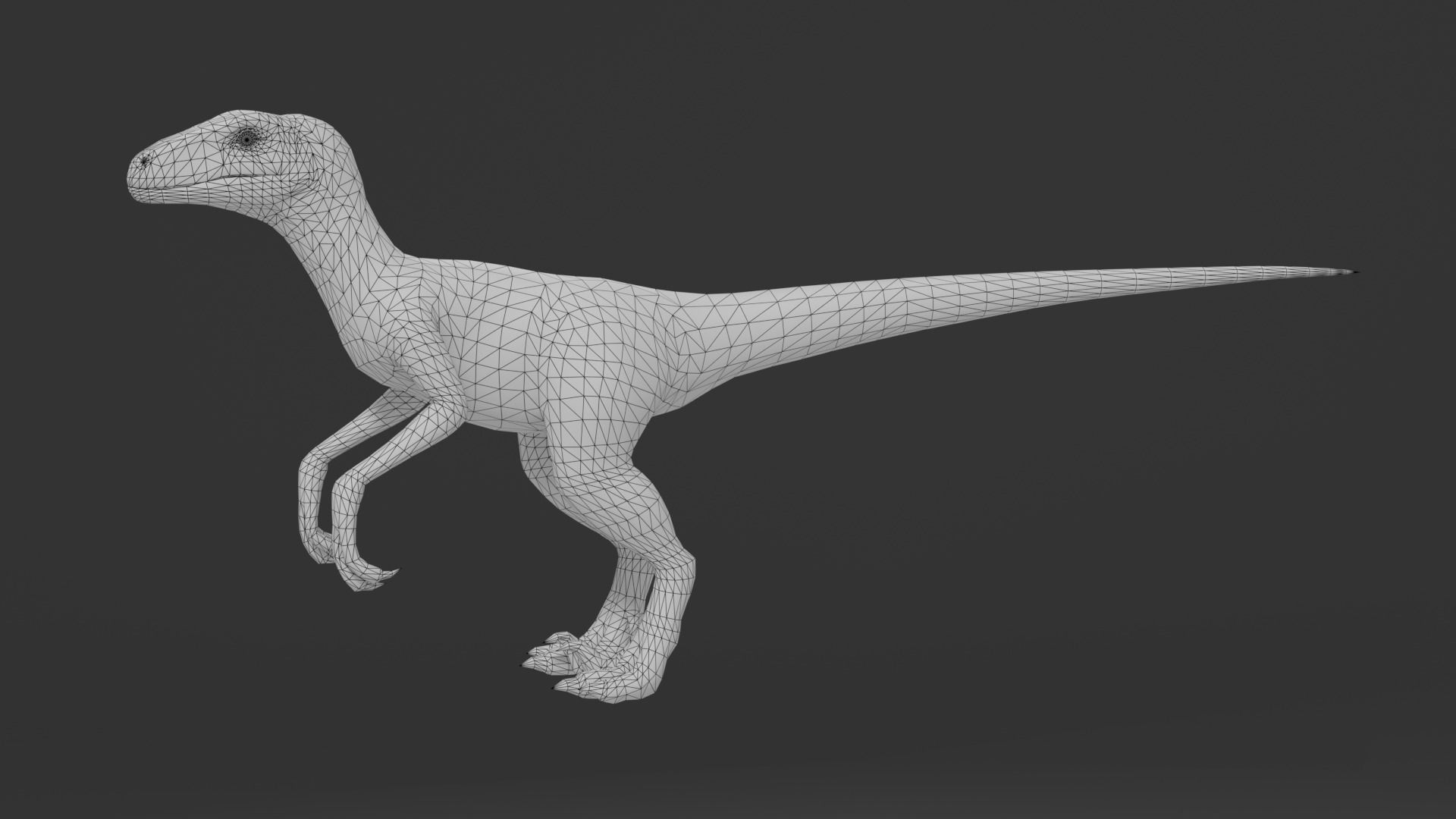 Velociraptor dinosaur Low-poly 3D model_2