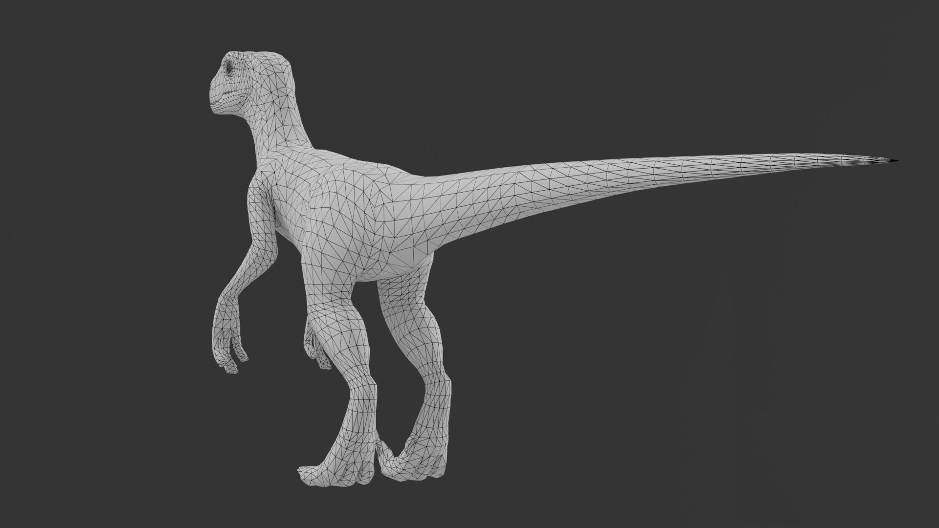 Velociraptor dinosaur Low-poly 3D model_7