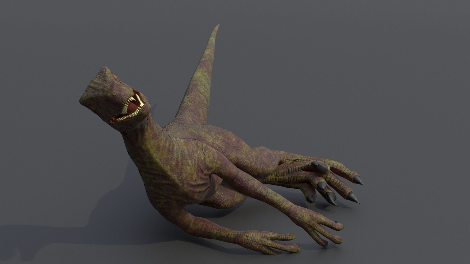 Velociraptor dinosaur Low-poly 3D model_11