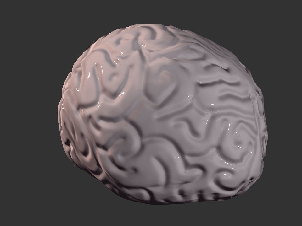 Brain model human Low-poly 3D model_31