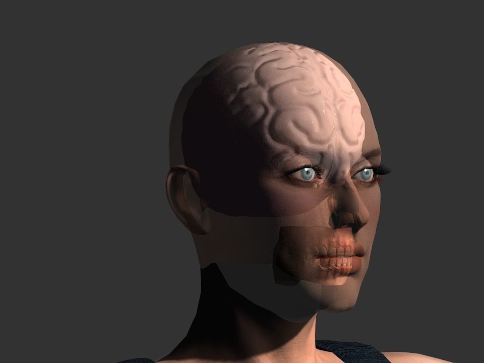 Brain model human Low-poly 3D model_6