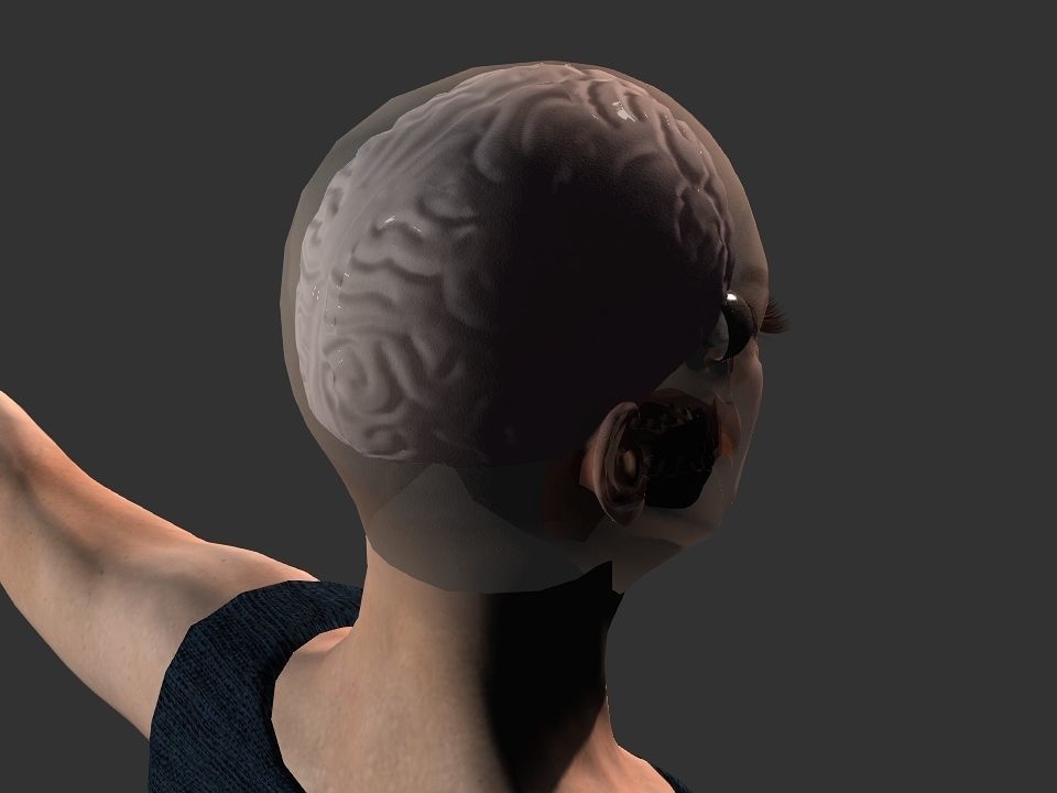 Brain model human Low-poly 3D model_20