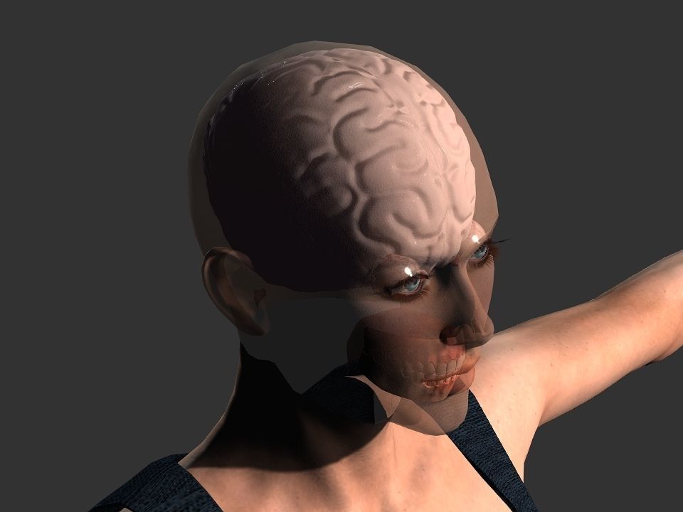 Brain model human Low-poly 3D model_25