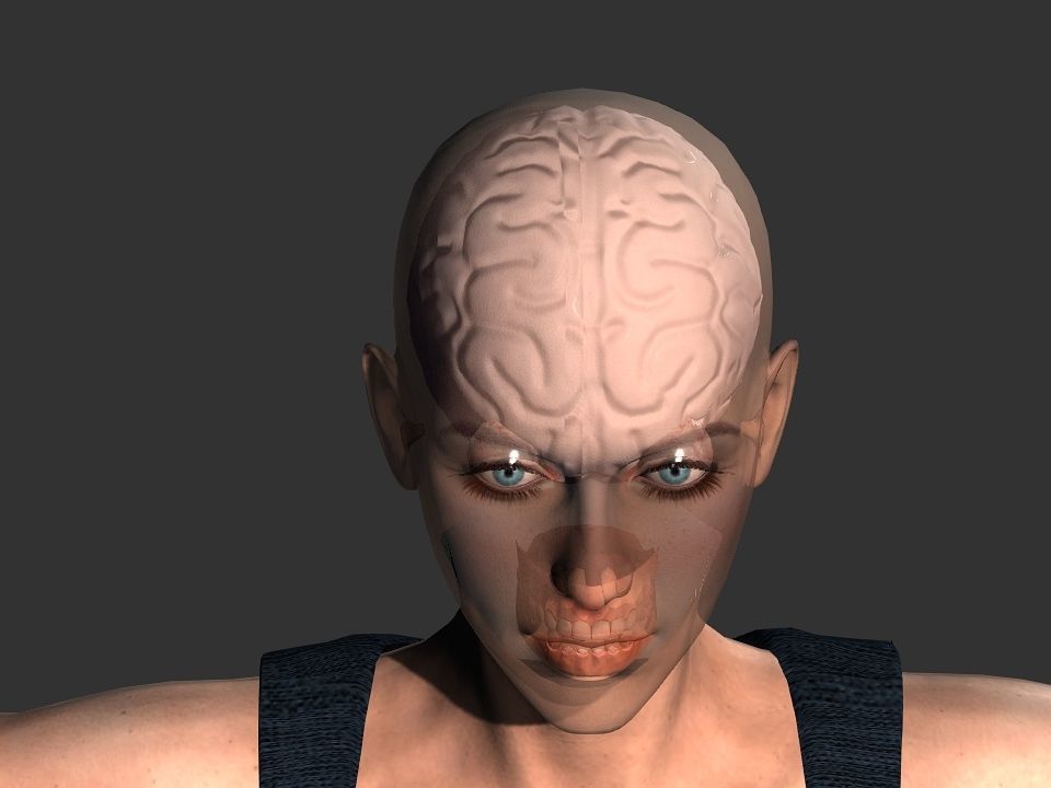 Brain model human Low-poly 3D model_9