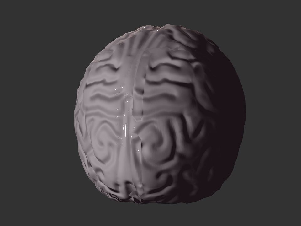 Brain model human Low-poly 3D model_35