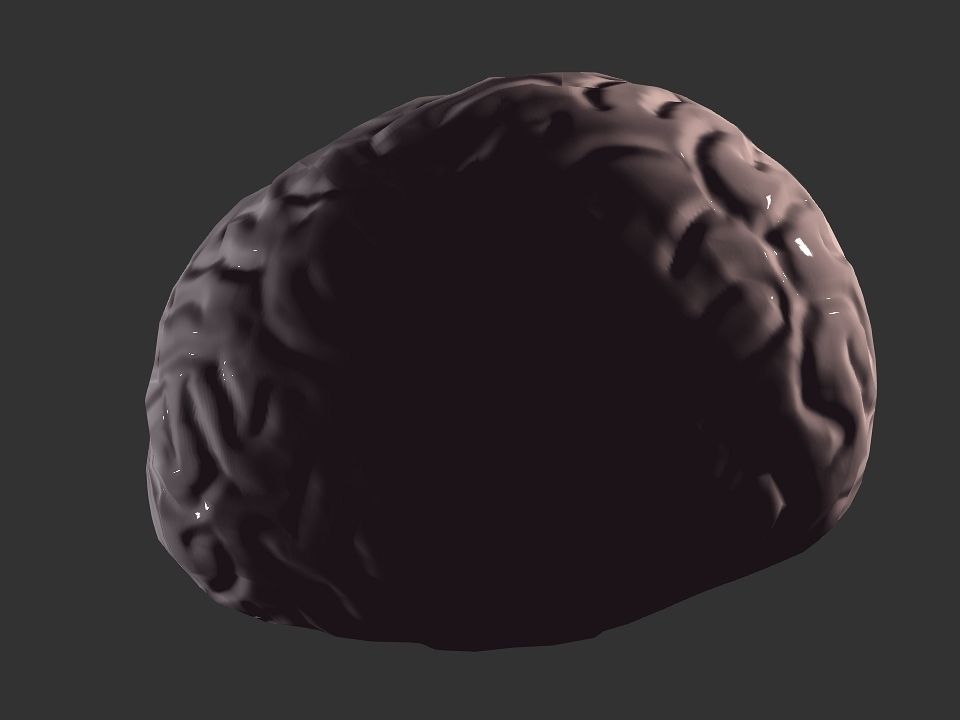 Brain model human Low-poly 3D model_38