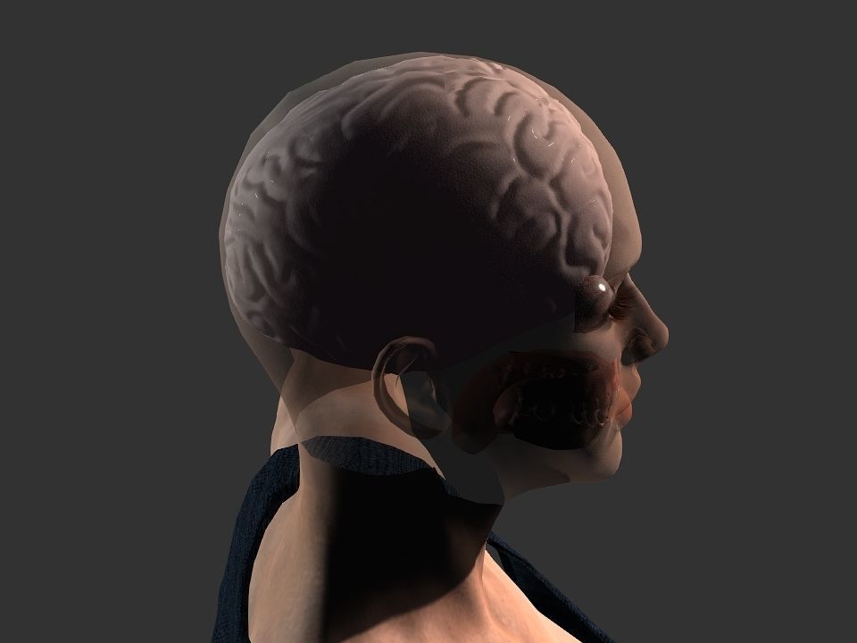 Brain model human Low-poly 3D model_22