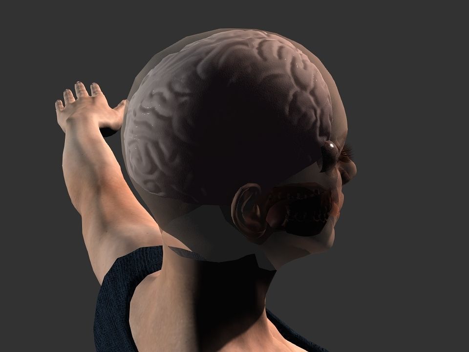 Brain model human Low-poly 3D model_21