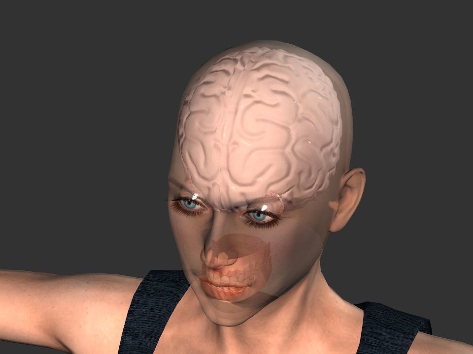 Brain model human Low-poly 3D model_10