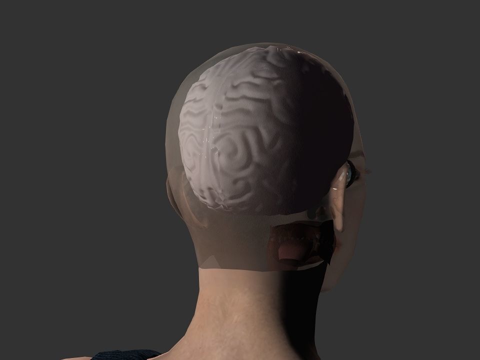 Brain model human Low-poly 3D model_50