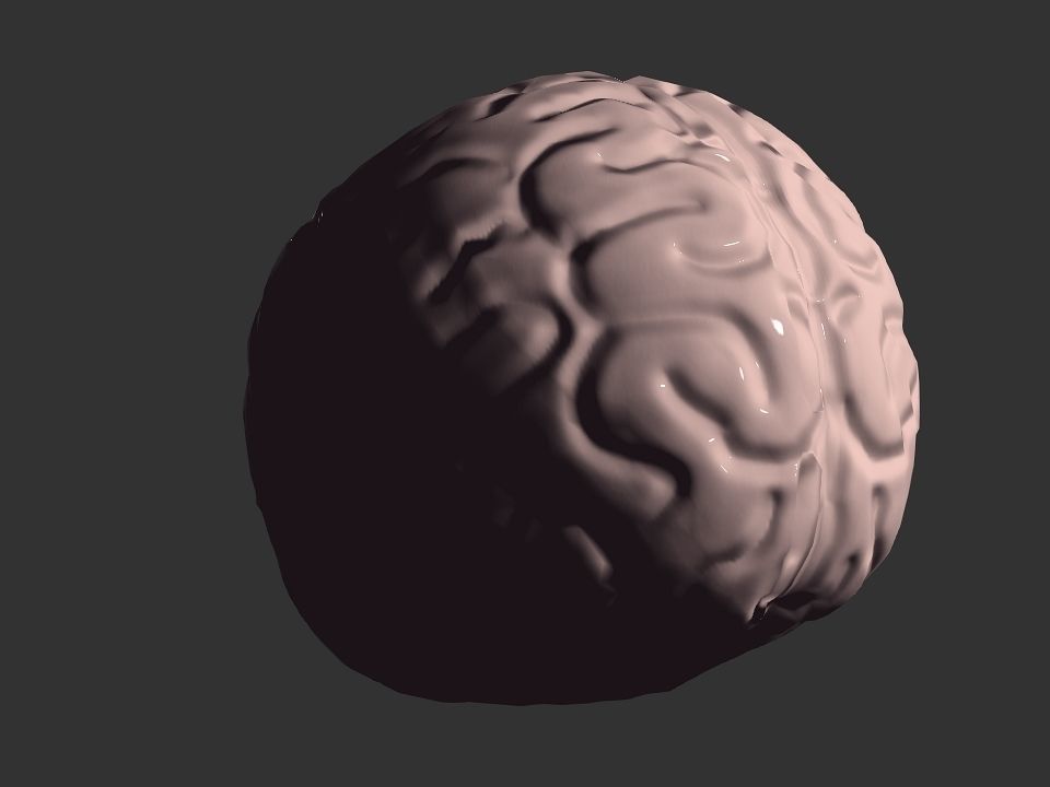 Brain model human Low-poly 3D model_40