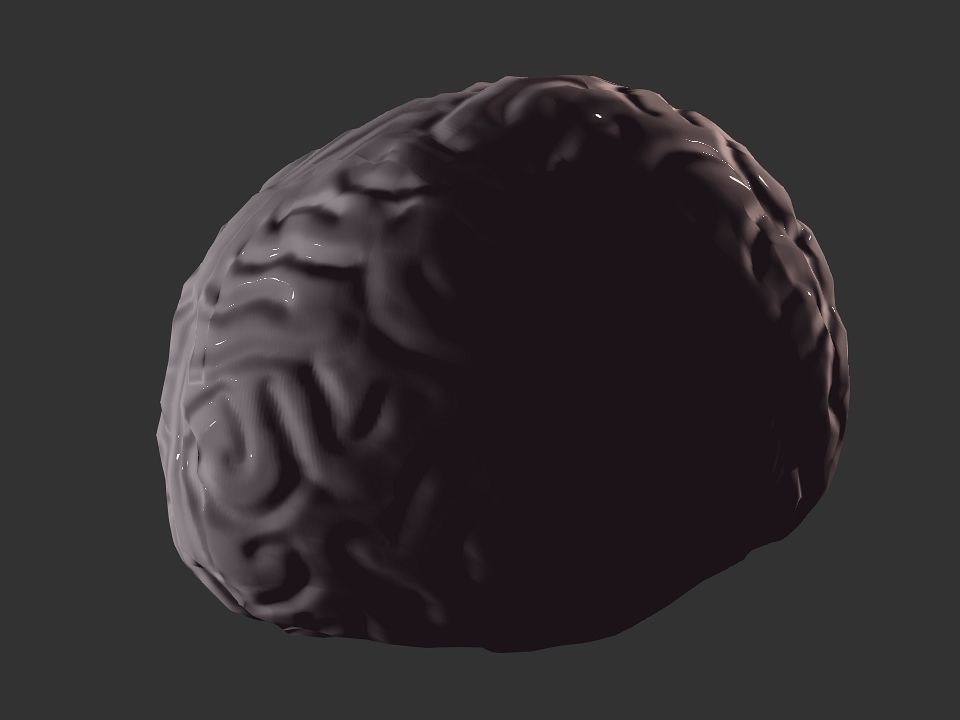 Brain model human Low-poly 3D model_37