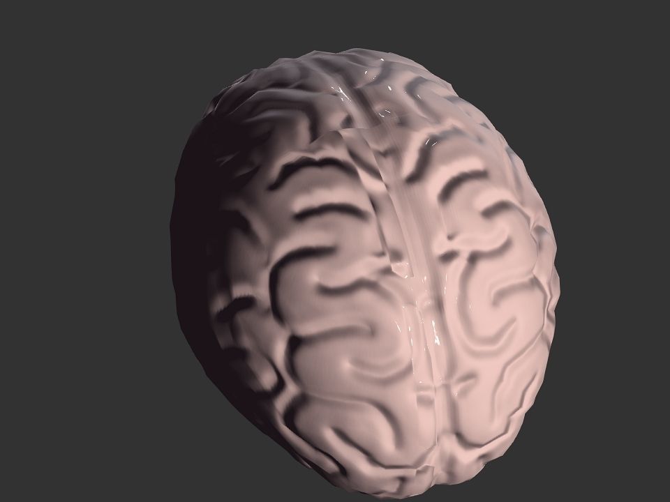 Brain model human Low-poly 3D model_41