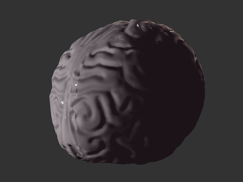 Brain model human Low-poly 3D model_36