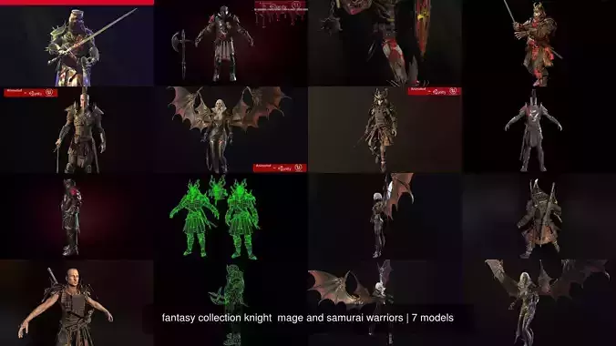 fantasy collection knight  mage and samurai warriors