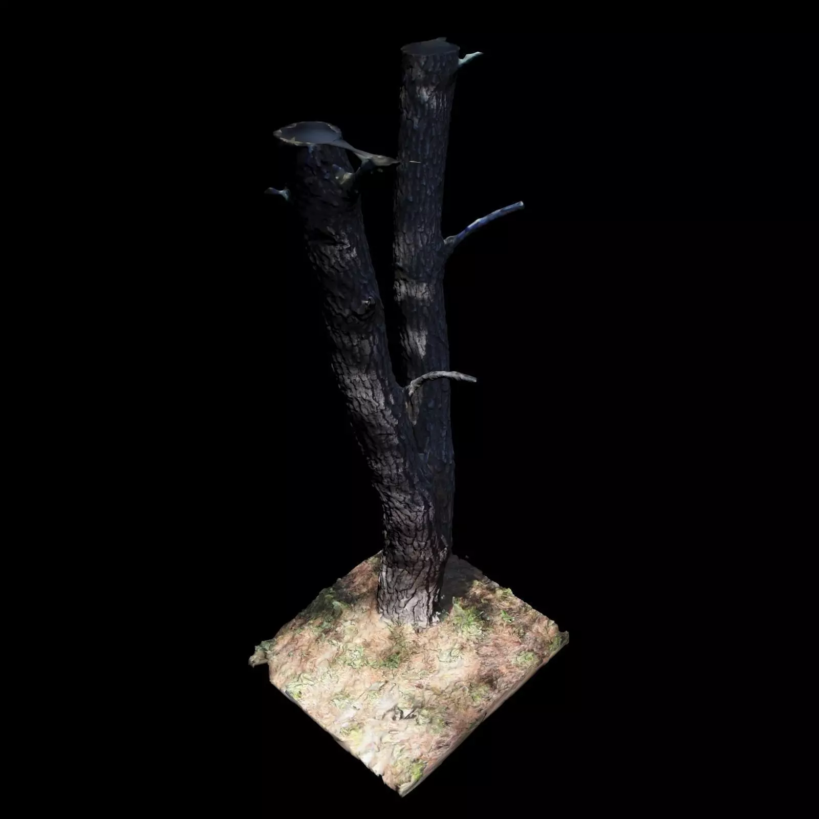 Big Tree 3D model_0