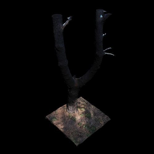 Big Tree 3D model