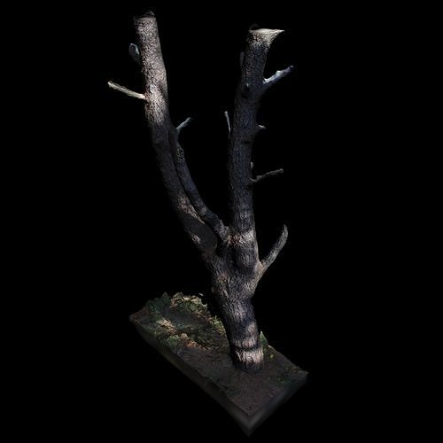 Big Tree 3D model