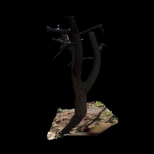 Big Tree 3D model