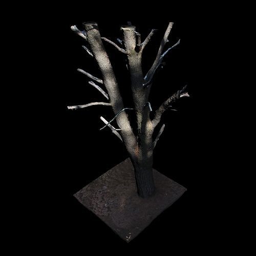 Big Tree 3D model