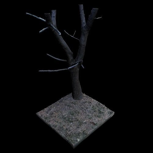 Big Tree 3D model