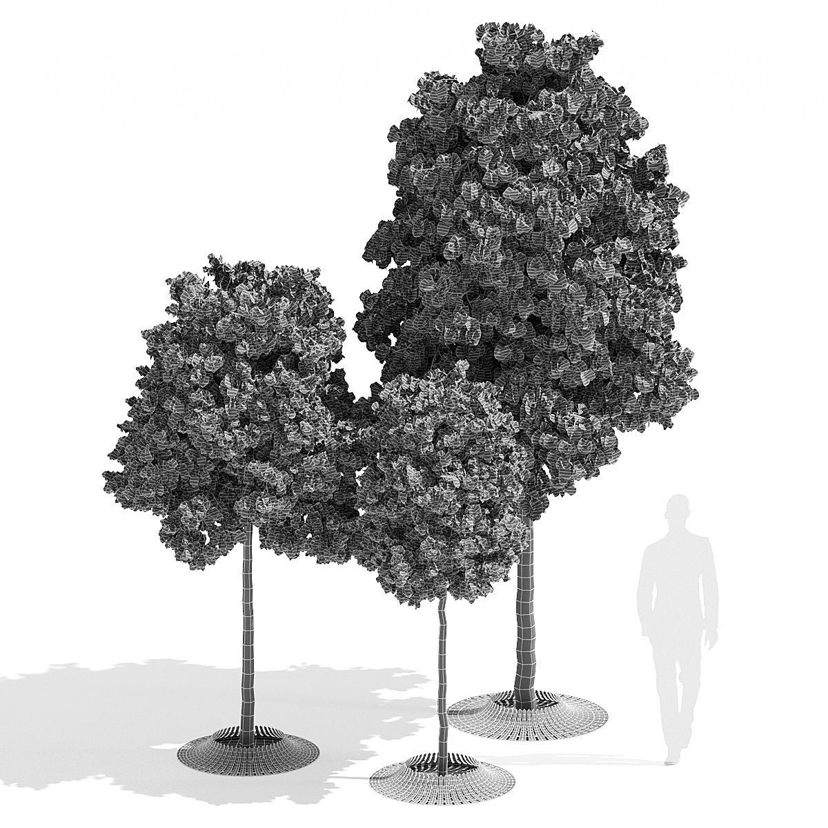 Calyx three trees 3D model_6