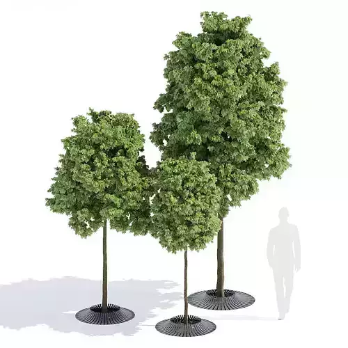Calyx three trees 3D model