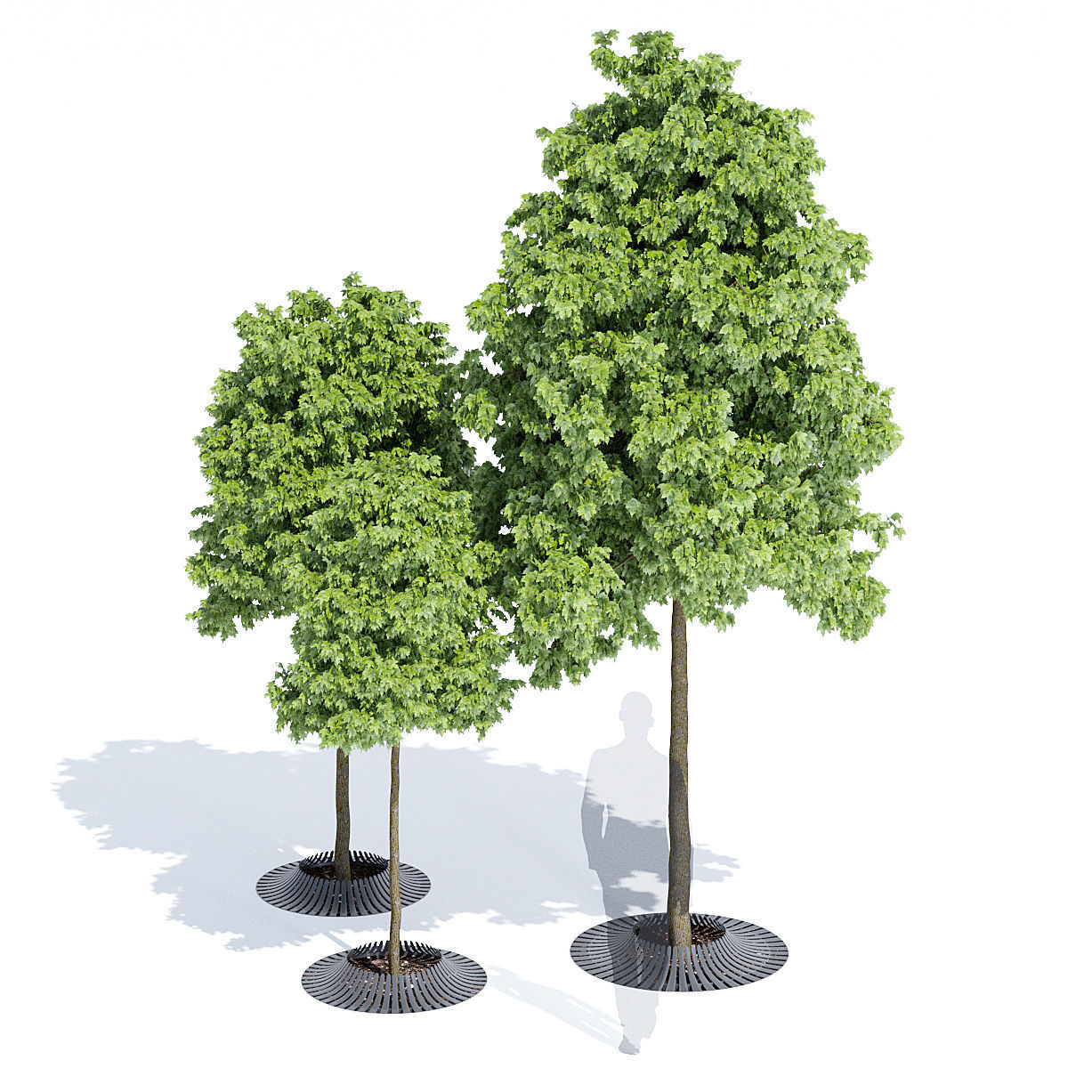 Calyx three trees 3D model_2