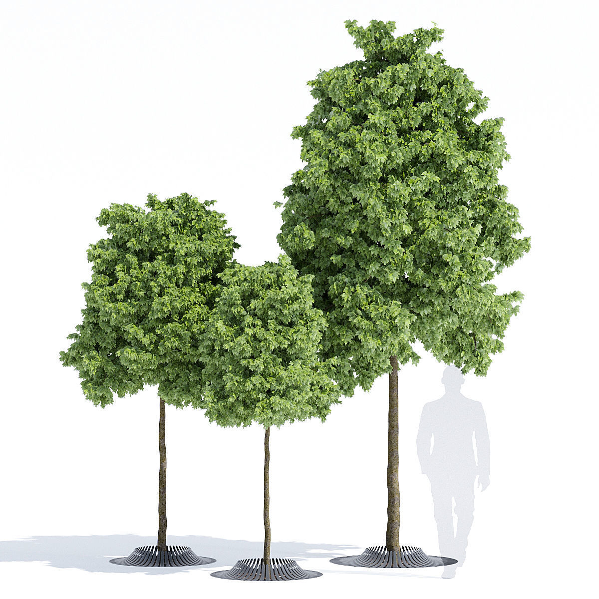 Calyx three trees 3D model_1