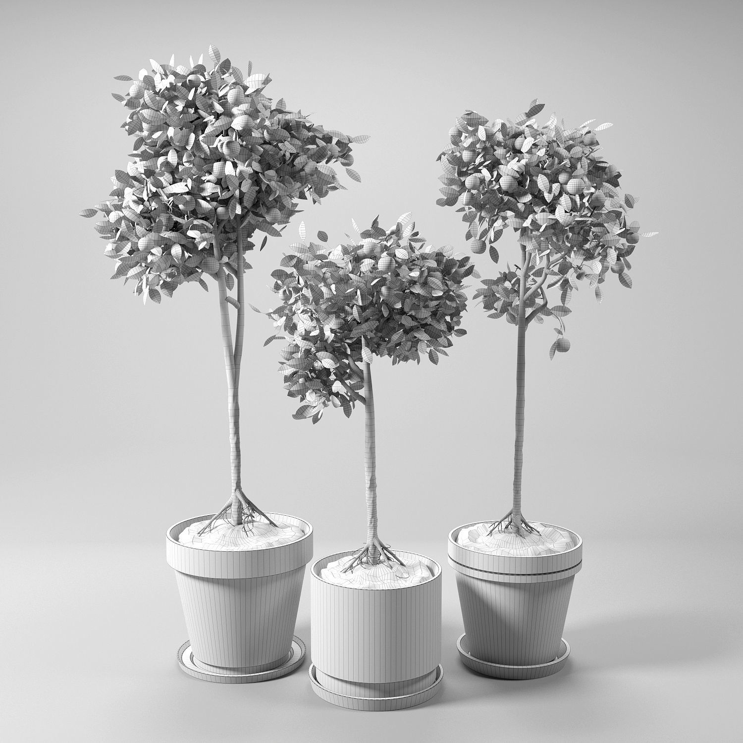 Orange Trees set 01  3D model_1