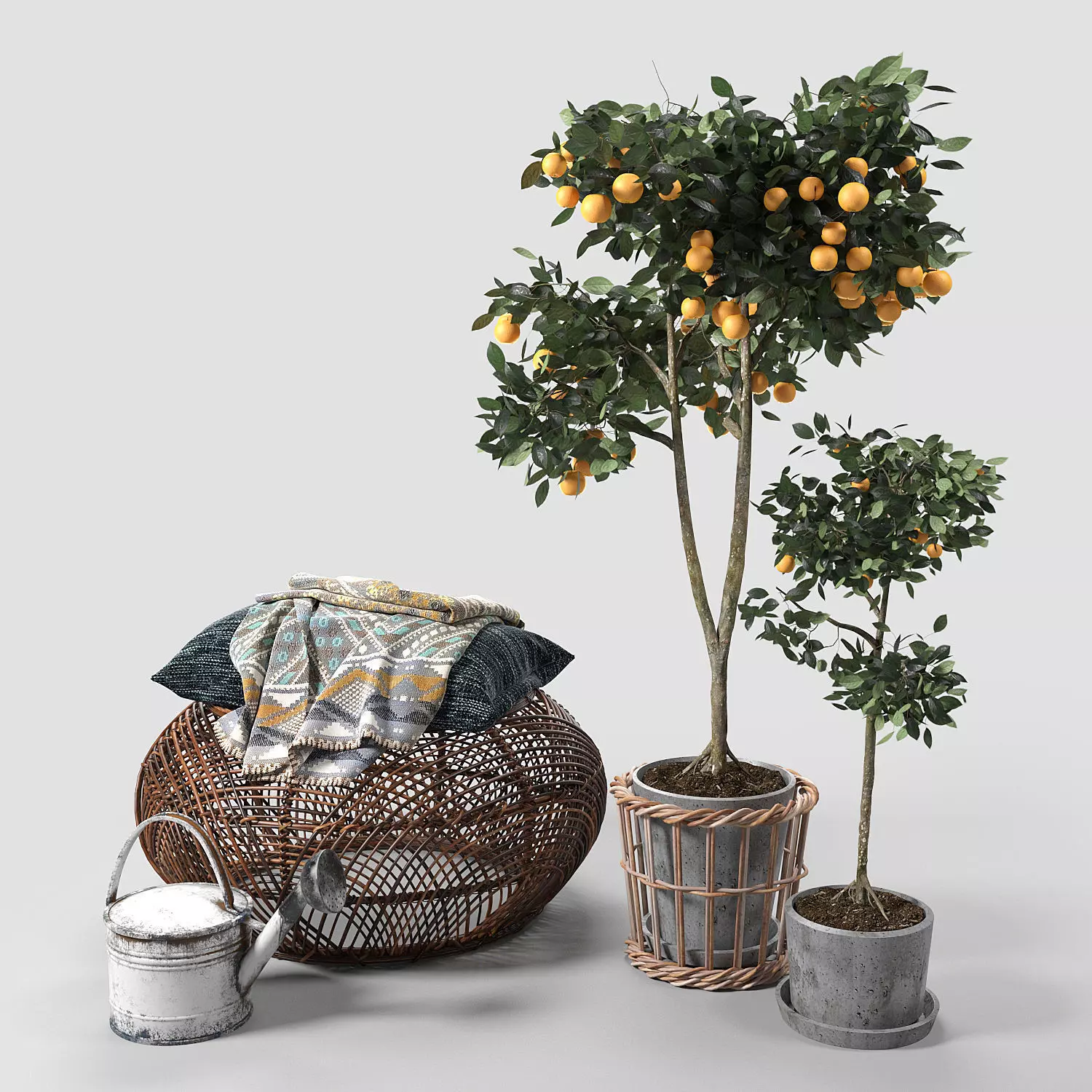 Orange Trees set  03  3D model_0