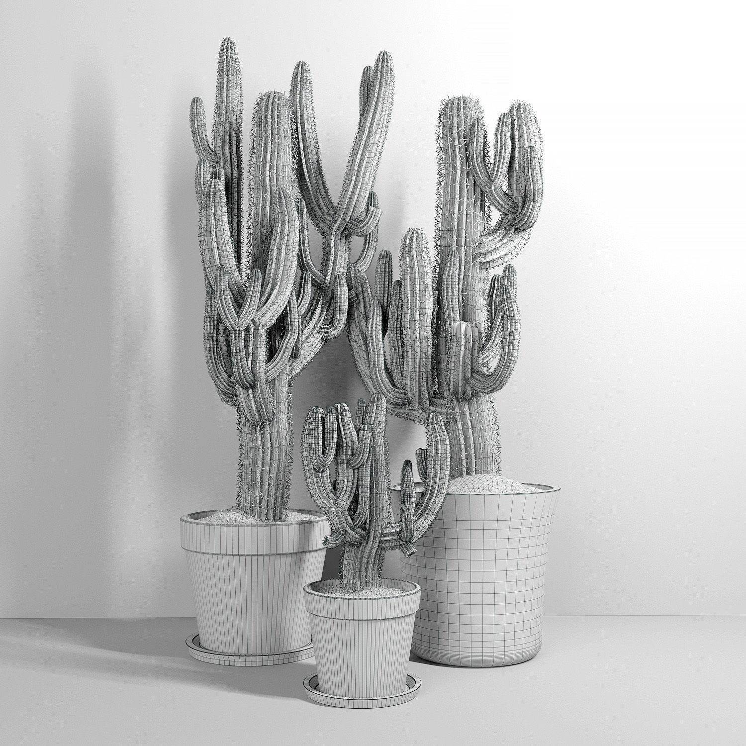 Set of Three Cactuses Carnegiea 3D model_1