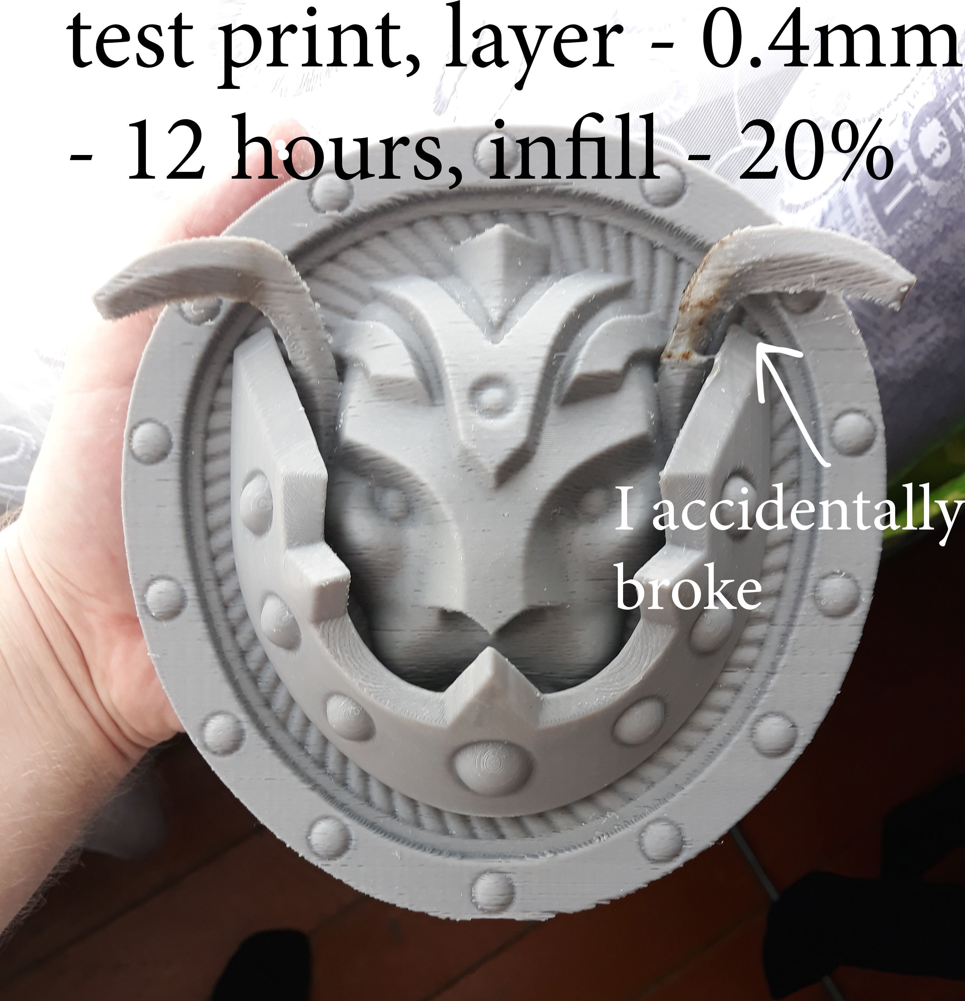 lion shield 3d print Free 3D print model_4