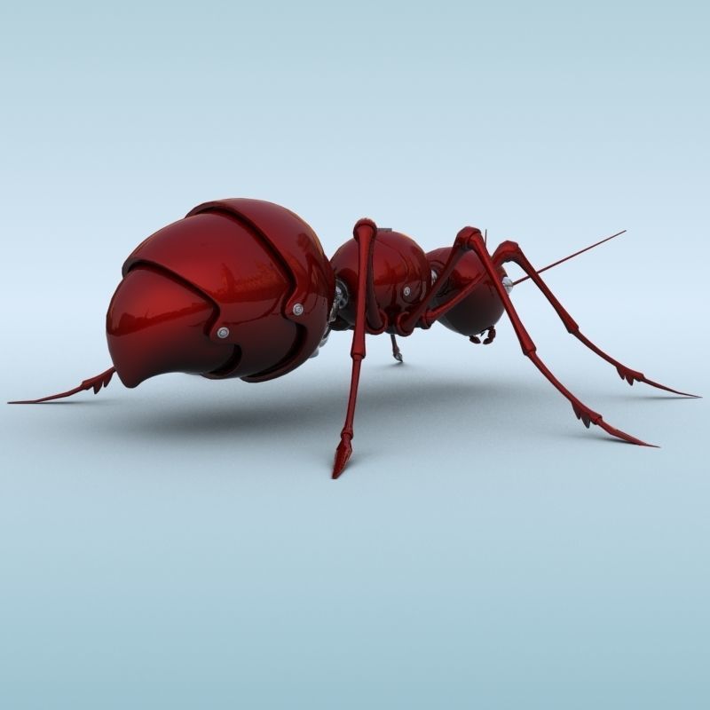 Mechanical Ant 3D model_4