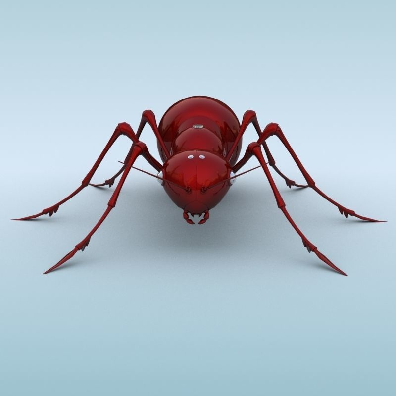 Mechanical Ant 3D model_1
