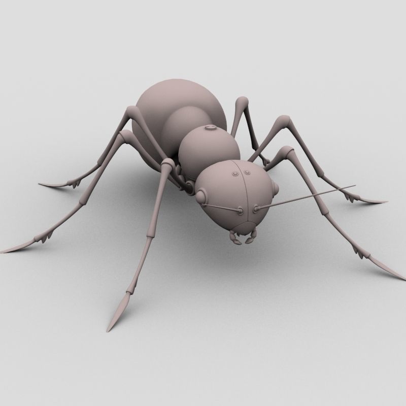 Mechanical Ant 3D model_7