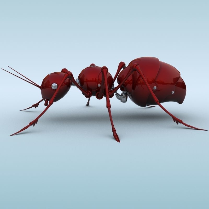 Mechanical Ant 3D model_2