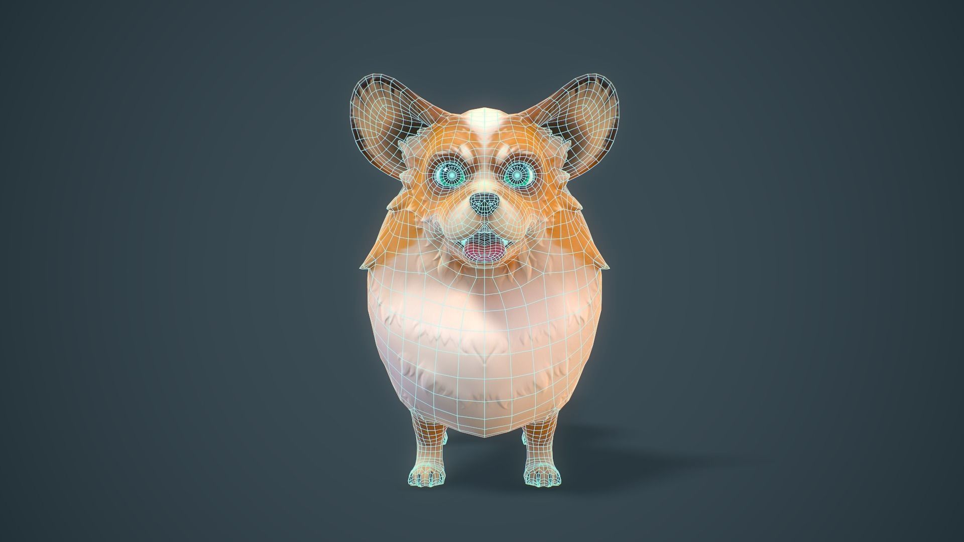 Cartoon Corgi Animated Low-poly 3D model_5