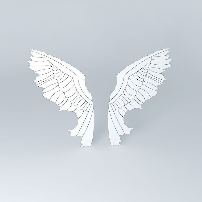 2d wings Free 3D model_3