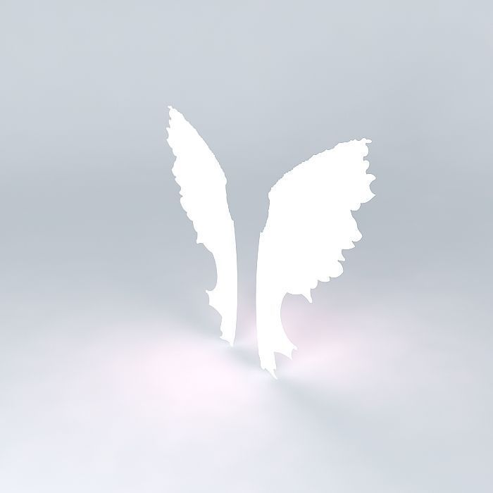 2d wings Free 3D model_1