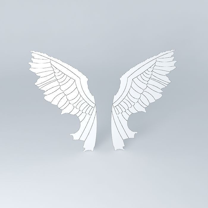 2d wings Free 3D model_4