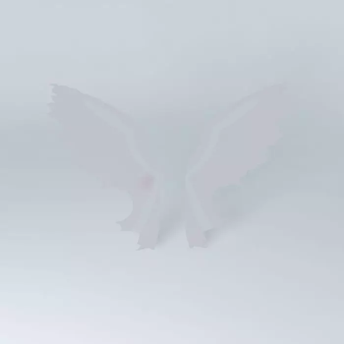 2d wings Free 3D model_0