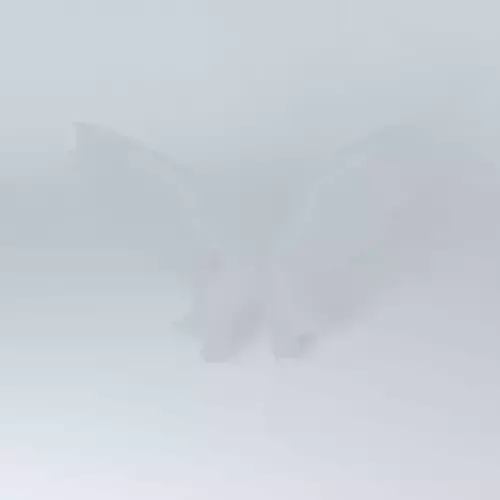 2d wings Free 3D model