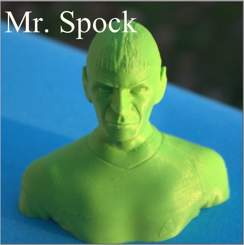 Mr Spock bust 3D print model_6
