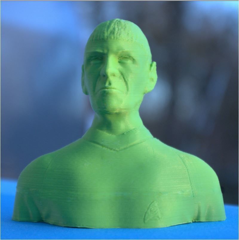 Mr Spock bust 3D print model_5