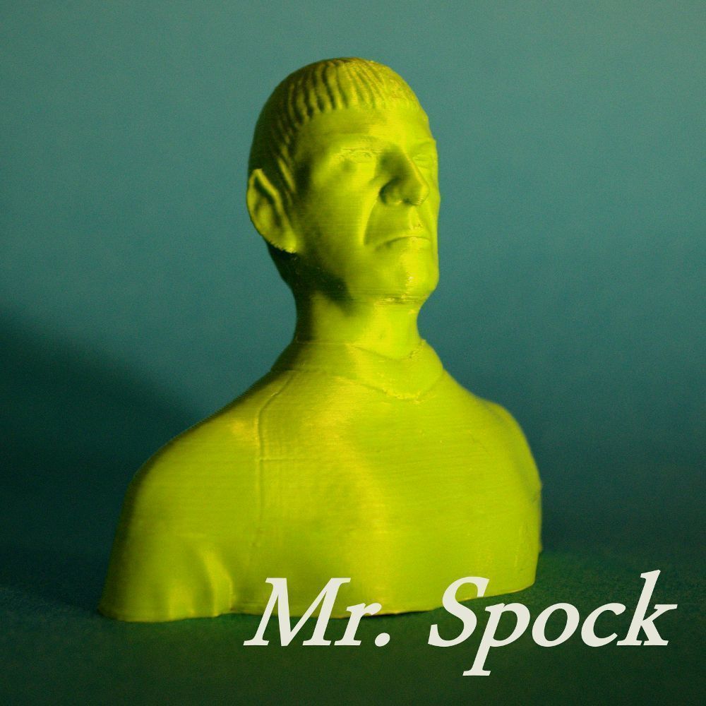Mr Spock bust 3D print model_2