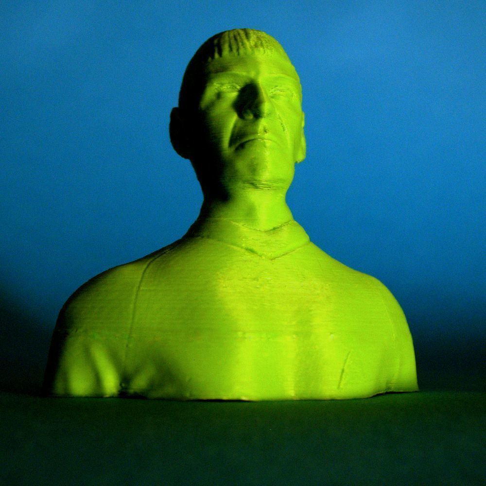 Mr Spock bust 3D print model_3