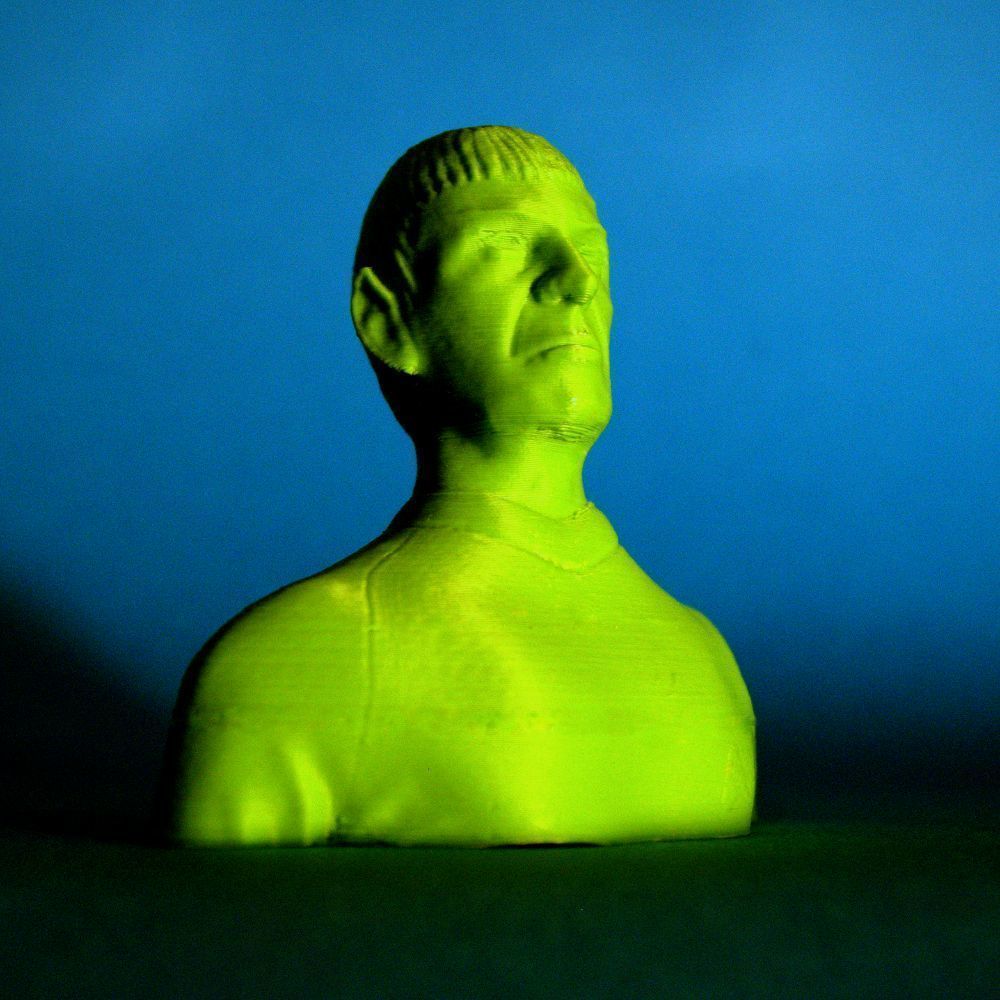 Mr Spock bust 3D print model_7