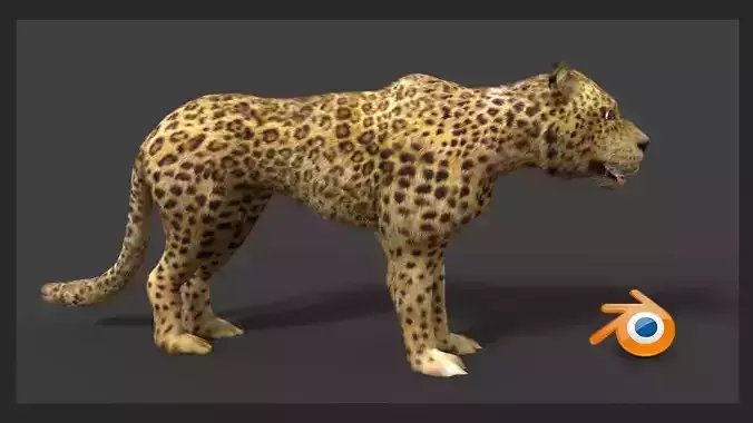 leopard cheetah 3D model