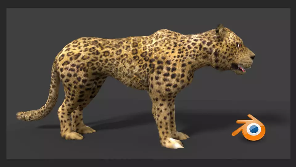 leopard cheetah 3D model_0